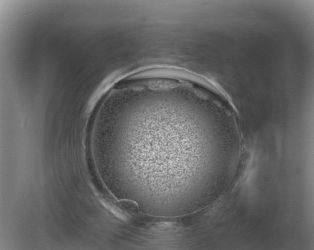 X0000080200151200612152049