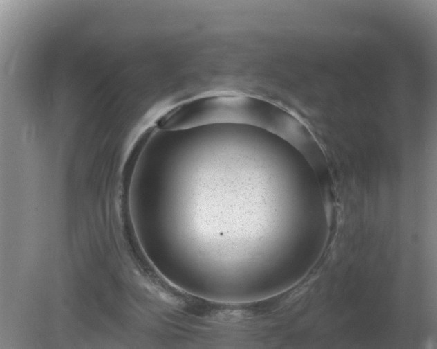 X0000080200152200612152049