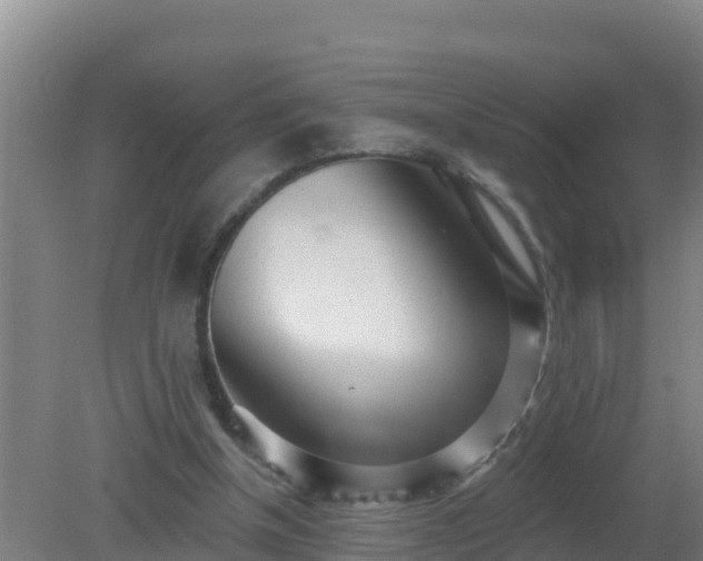 X0000080200154200612152049