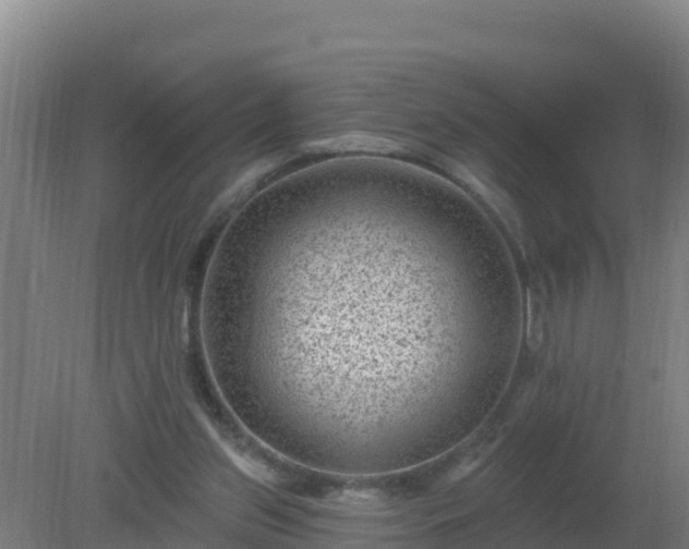 X0000080200157200612152049