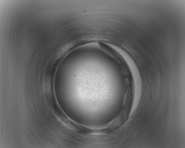 X0000080200158200612152049