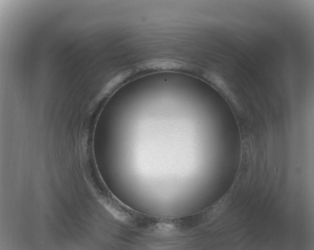 X0000080200159200612152049