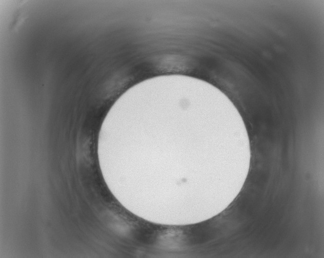 X0000080200162200612152049