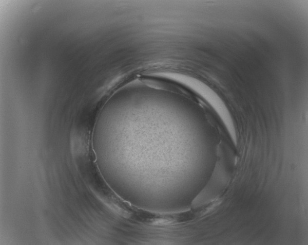 X0000080200168200612152049