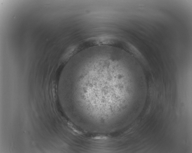 X0000080200169200612152049