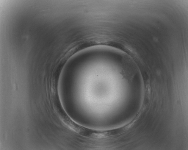 X0000080200170200612152049