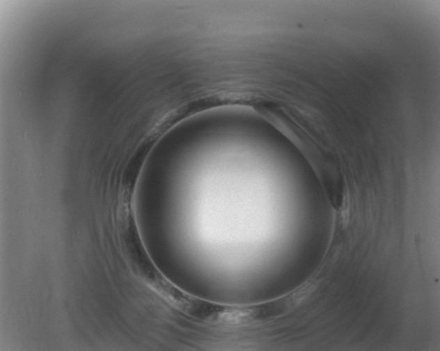 X0000080200172200612152049