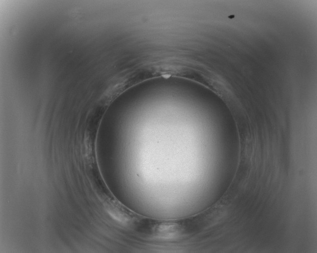 X0000080200173200612152049