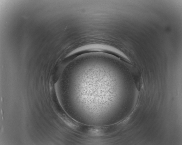 X0000080200174200612152049