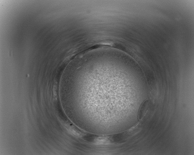 X0000080200175200612152049