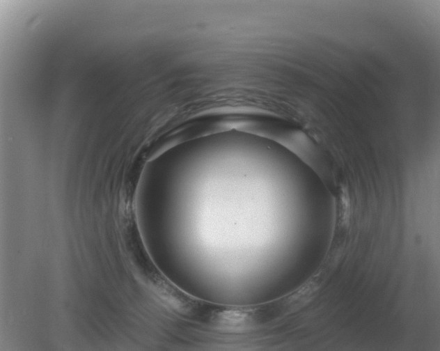 X0000080200176200612152049