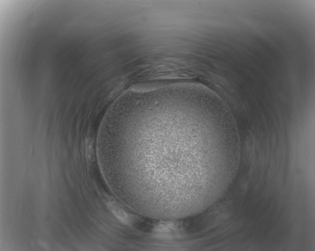 X0000080200177200612152049