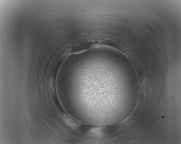 X0000080200178200612152049