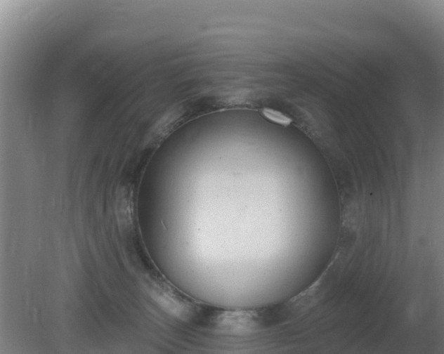 X0000080200179200612152049