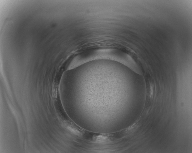 X0000080200180200612152049