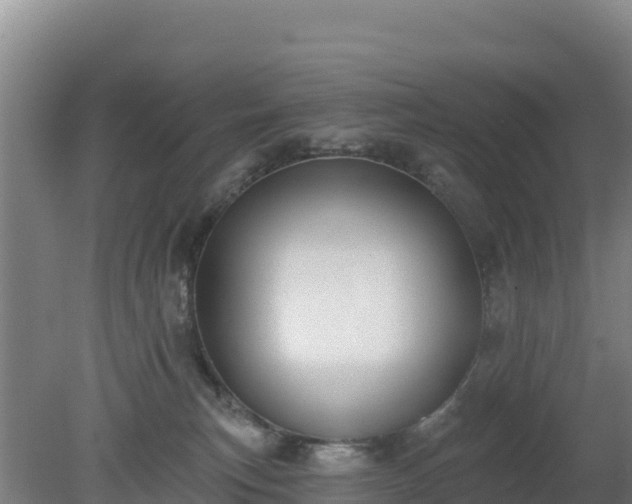 X0000080200183200612152049