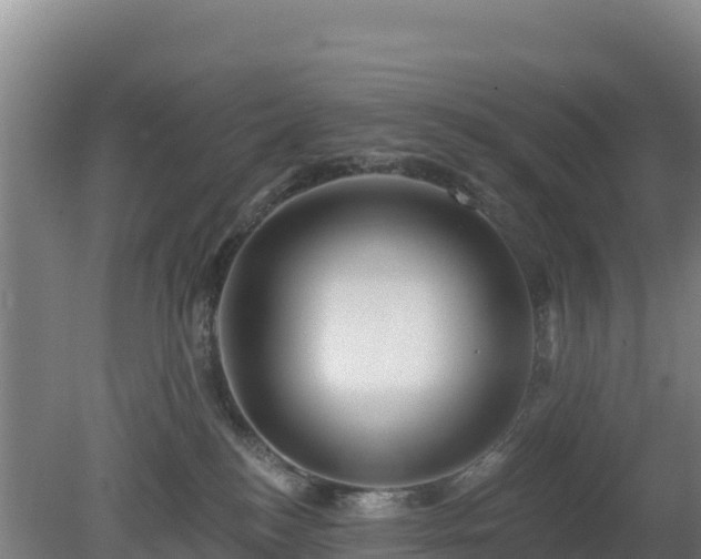 X0000080200184200612152049