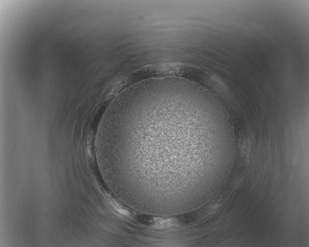 X0000080200185200612152049