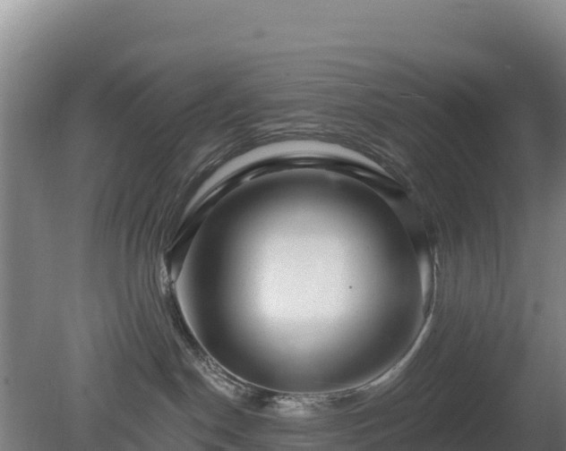 X0000080200190200612152049