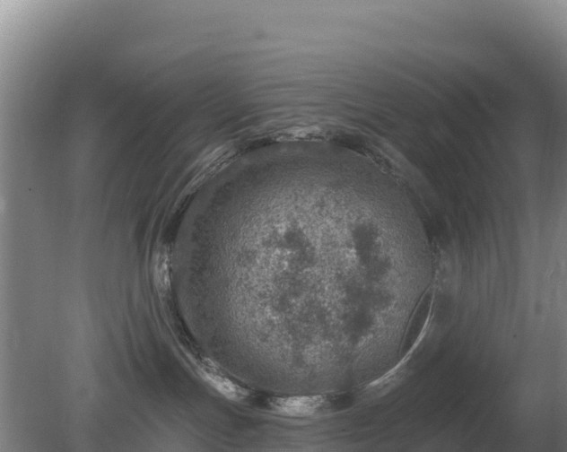 X0000080200191200612152049