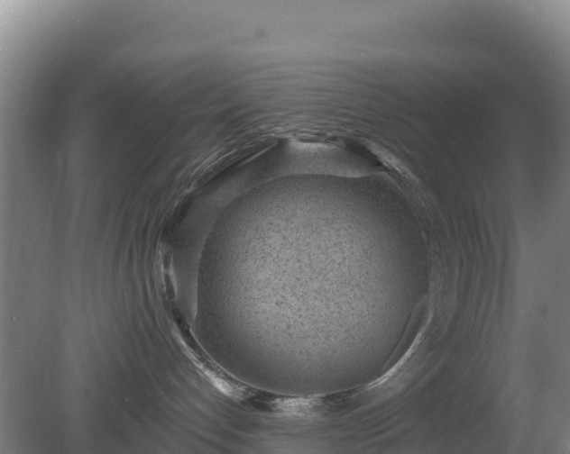 X0000080200192200612152049