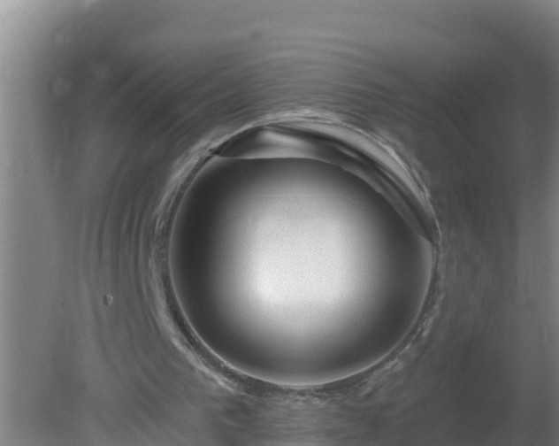 X0000080200193200612152049