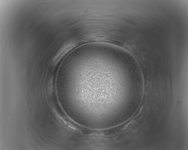 X0000080200194200612152049