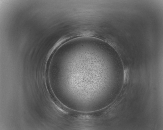 X0000080200195200612152049