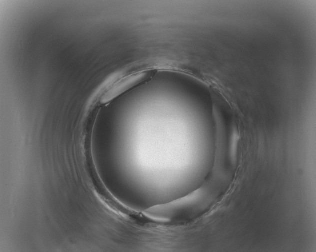 X0000080200197200612152049