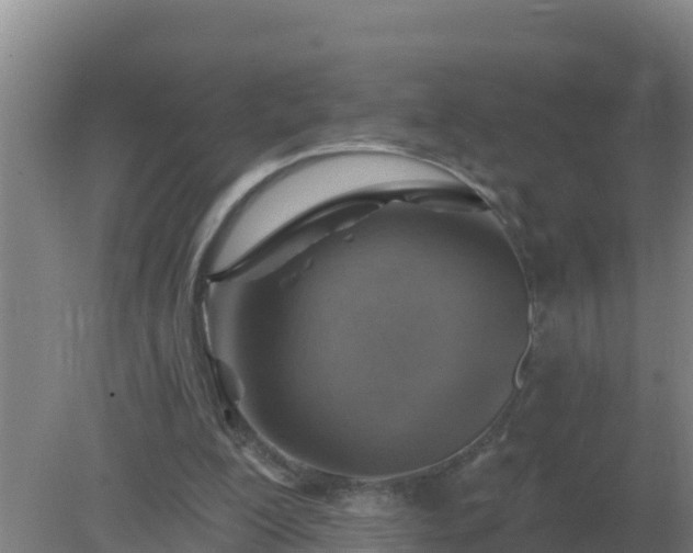 X0000080200200200612152049