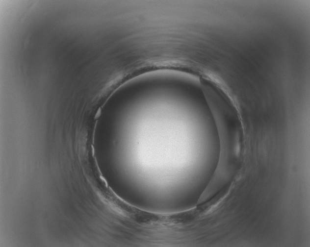 X0000080200201200612152049