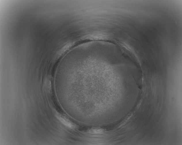 X0000080200202200612152049