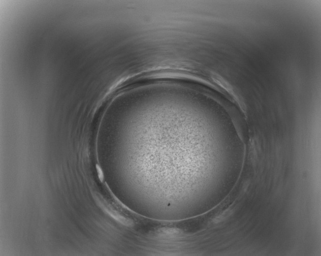 X0000080200203200612152049