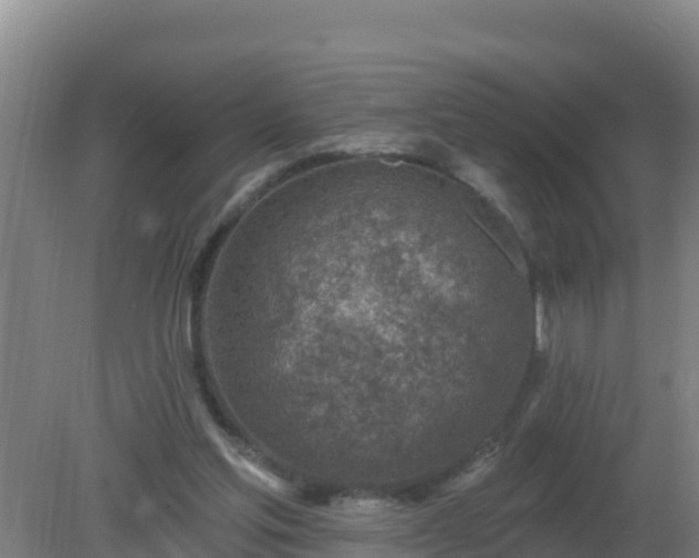 X0000080200205200612152048