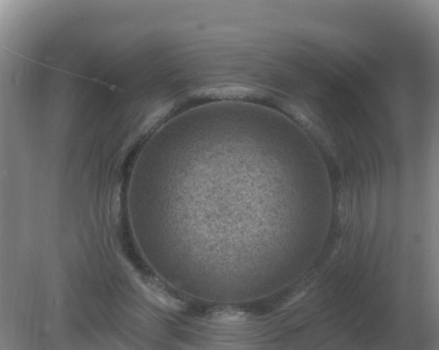 X0000080200206200612152048