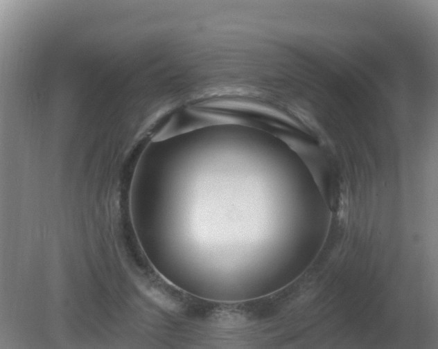 X0000080200207200612152048