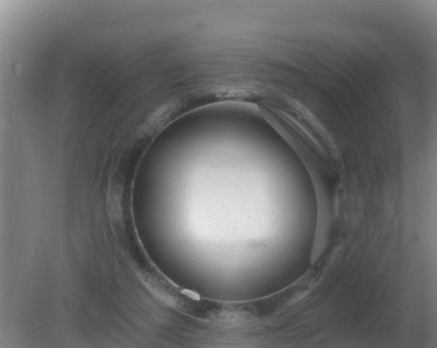 X0000080200209200612152048