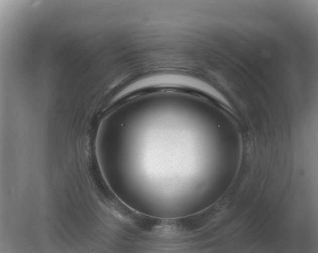 X0000080200211200612152048