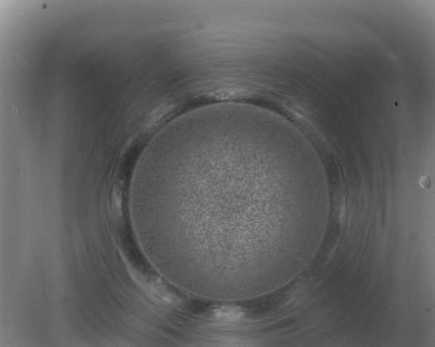 X0000080200214200612152048