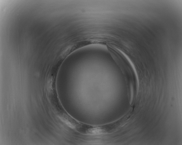 X0000080200219200612152048