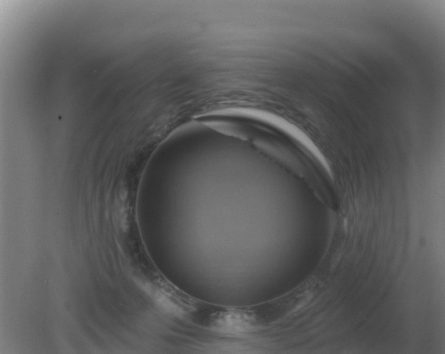 X0000080200223200612152048