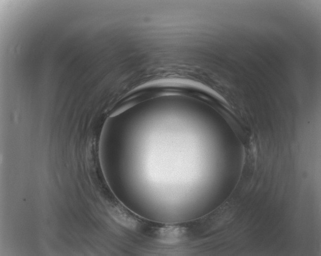 X0000080200225200612152048