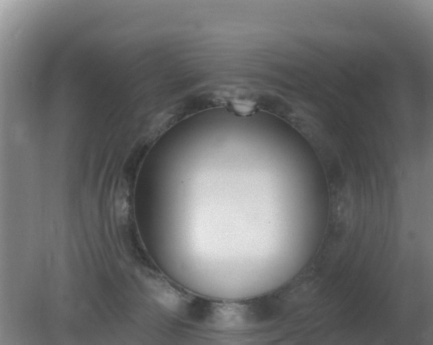 X0000080200226200612152048