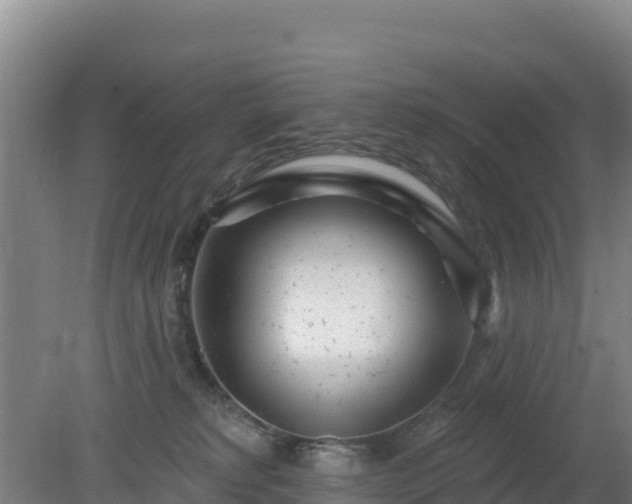 X0000080200229200612152048