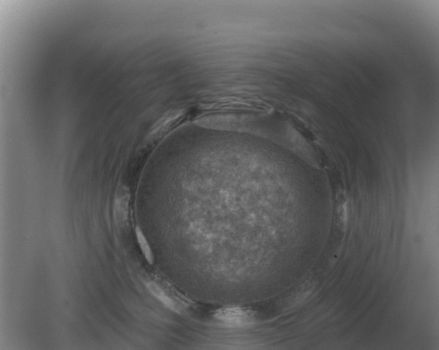 X0000080200231200612152048