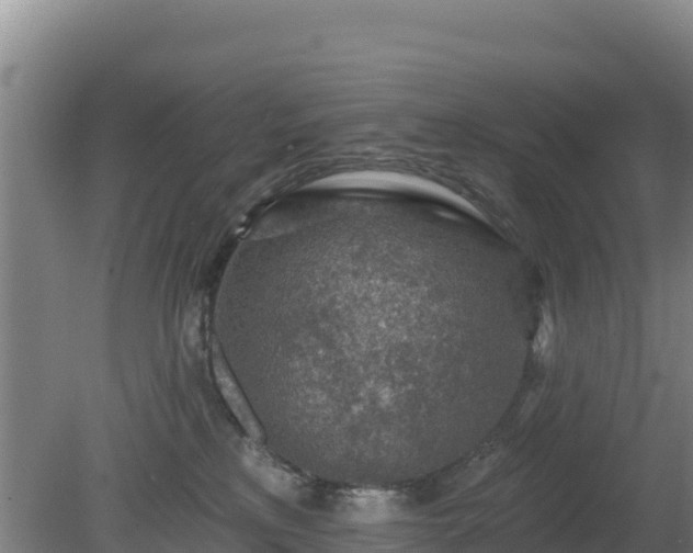 X0000080200233200612152048