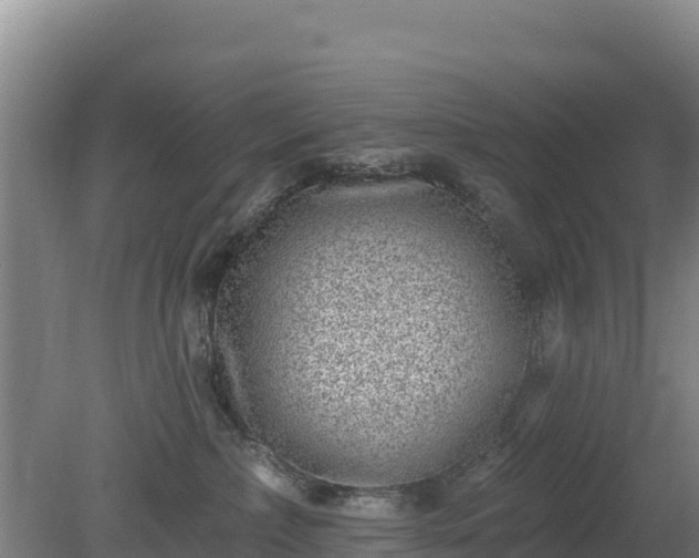 X0000080200236200612152048