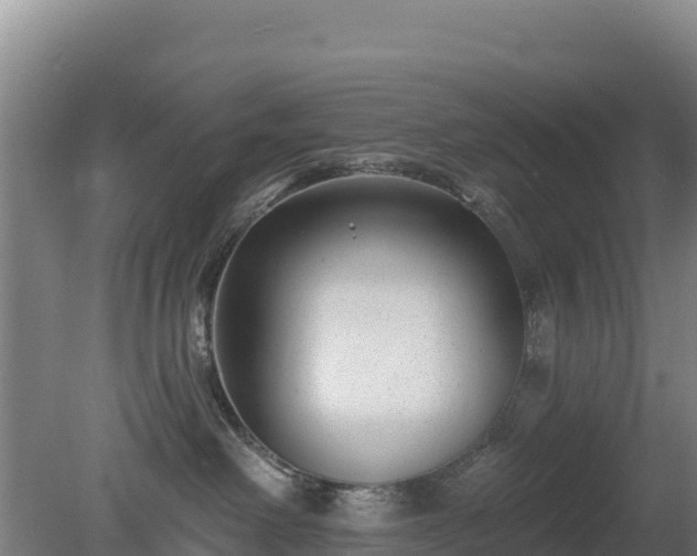 X0000080200238200612152048