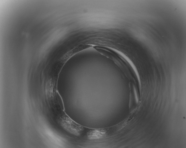 X0000080200239200612152048