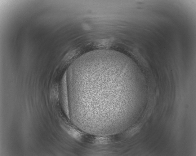 X0000080200240200612152048